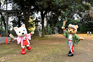 トヨタ くま吉×ルーキー ふたりで羽子板で遊ぶ@ HAPPY NEW YEAR
