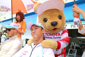 トヨタ くま吉 中嶋選手の肩を揉む@ スーパーフォーミュラ 2015年 第5戦 オートポリス