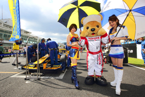 トヨタ くま吉 チームルマンのコンパニオンとグリッド上で@ スーパーフォーミュラ 2015年 第5戦 オートポリス