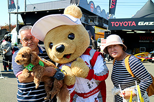 トヨタ くま吉 ガチャピン犬と夫婦と@ スーパーフォーミュラ 2015年 第6戦 SUGO