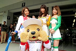 トヨタ くま吉 TOM'Sのコンパニオン3人と@ スーパーフォーミュラ 2015年 第7戦（最終戦）鈴鹿