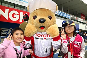 トヨタ くま吉 Team LeMansキャップの姉妹と@ スーパーフォーミュラ 2015年 第7戦（最終戦）鈴鹿