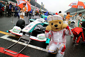 トヨタ くま吉 グリッド上の2号車の前で@ スーパーフォーミュラ 2015年 第7戦（最終戦）鈴鹿