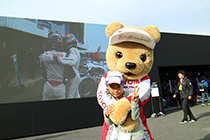 トヨタ くま吉 TOYOTA HYBRIDキャップの少年と@ WEC 2015年 第6戦 富士6時間レース