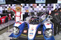 トヨタ くま吉 展示車両のTS040と2@ WEC 2015年 第6戦 富士6時間レース