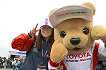 トヨタ くま吉 TOYOTA HYBRIDストライプキャップの女性と@ WEC 2015年 第6戦 富士6時間レース