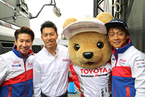トヨタ くま吉 小林選手と伊藤選手と脇阪選手と@ WEC 2015年 第6戦 富士6時間レース