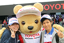 トヨタ くま吉 TOYOTA HYBRIDキャップのカップルと@ WEC 2015年 第6戦 富士6時間レース