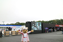 トヨタ くま吉 決勝日のイベントスペースにて@ WEC 2015年 第6戦 富士6時間レース
