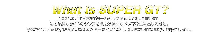 What is SUPER GT