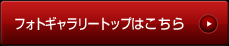 フォトギャラリートップはこちら