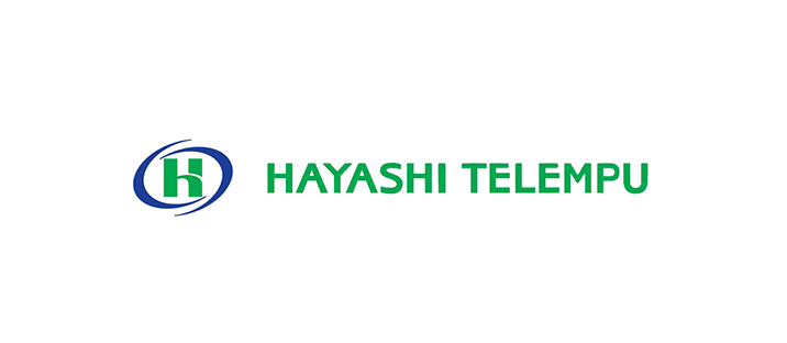 HAYASHI TELEMPU CORPORATION