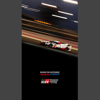 2017 FIA WEC Round 9 6 Hours of Bahrain 