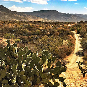 2017 WRC Round 3 Rally Mexico