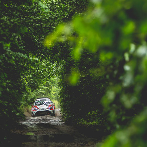 2017 WRC Round 8 Rally Poland
