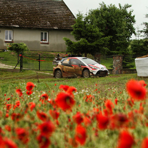 2017 WRC Round 8 Rally Poland