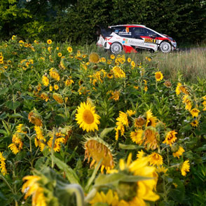 2017 WRC Round 10 Rallye Deutschland