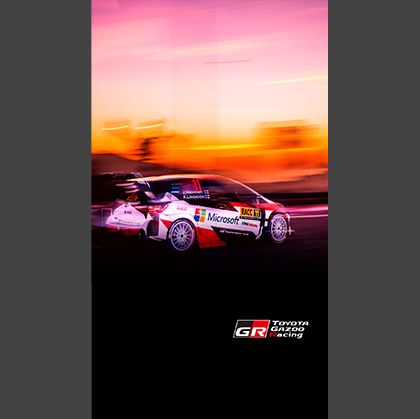2017 WRC Round 11 RALLY DE ESPAÑA