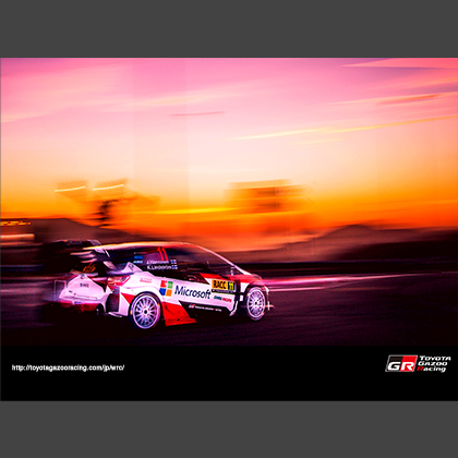 2017 WRC Round 11 RALLY DE ESPAÑA