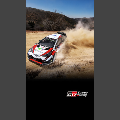 2018 WRC Round 3 RALLY MEXICO