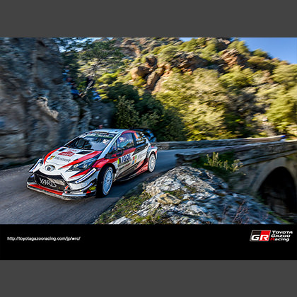 2018 WRC Round 4 RALLY FRANCE