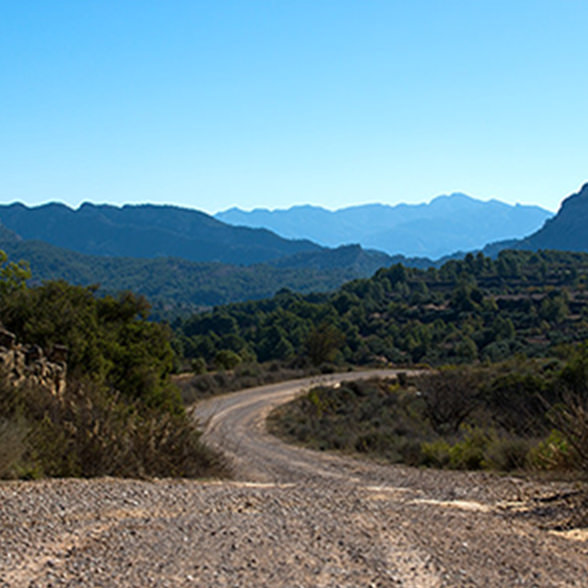 2018 WRC Round 12 Rally de España