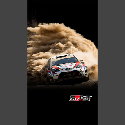 2019 WRC ROUND 11 Rally TURKEY Wallpaper