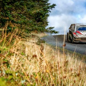 2019 WRC ROUND 12 Rally GB DAY3