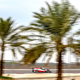 2019-2020 FIA WEC 8 HOURS OF BAHRAIN