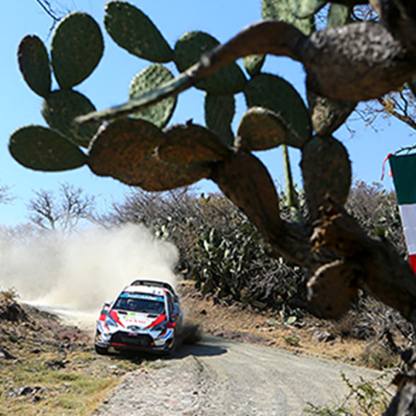 2019 WRC Round 3 Rally Mexico DAY1