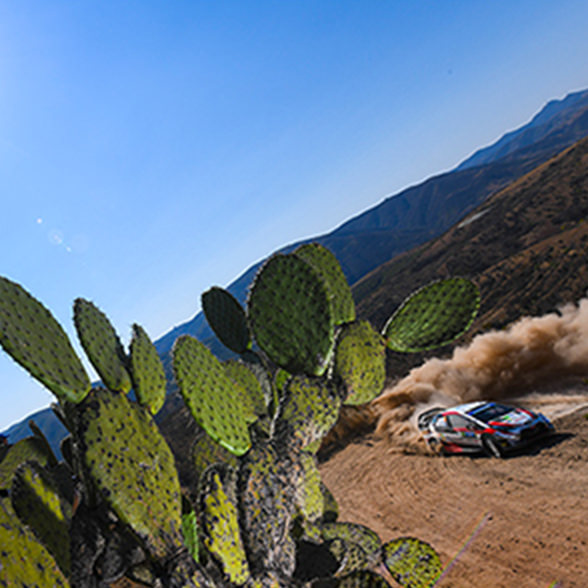 2019 WRC Round 3 Rally Mexico DAY2