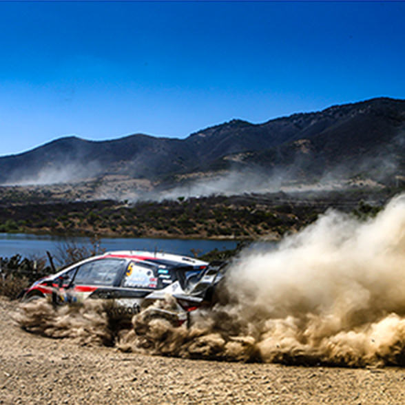 2019 WRC Round 3 Rally Mexico DAY4