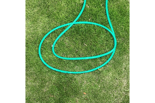 キノシタの近況