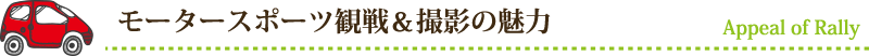モータースポーツ観戦&撮影の魅力