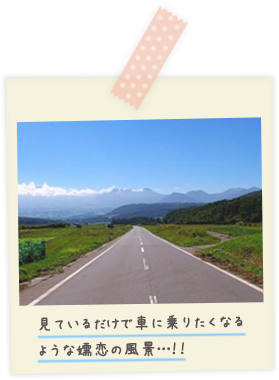 見ているだけで車に乗りたくなるような嬬恋の風景…!!