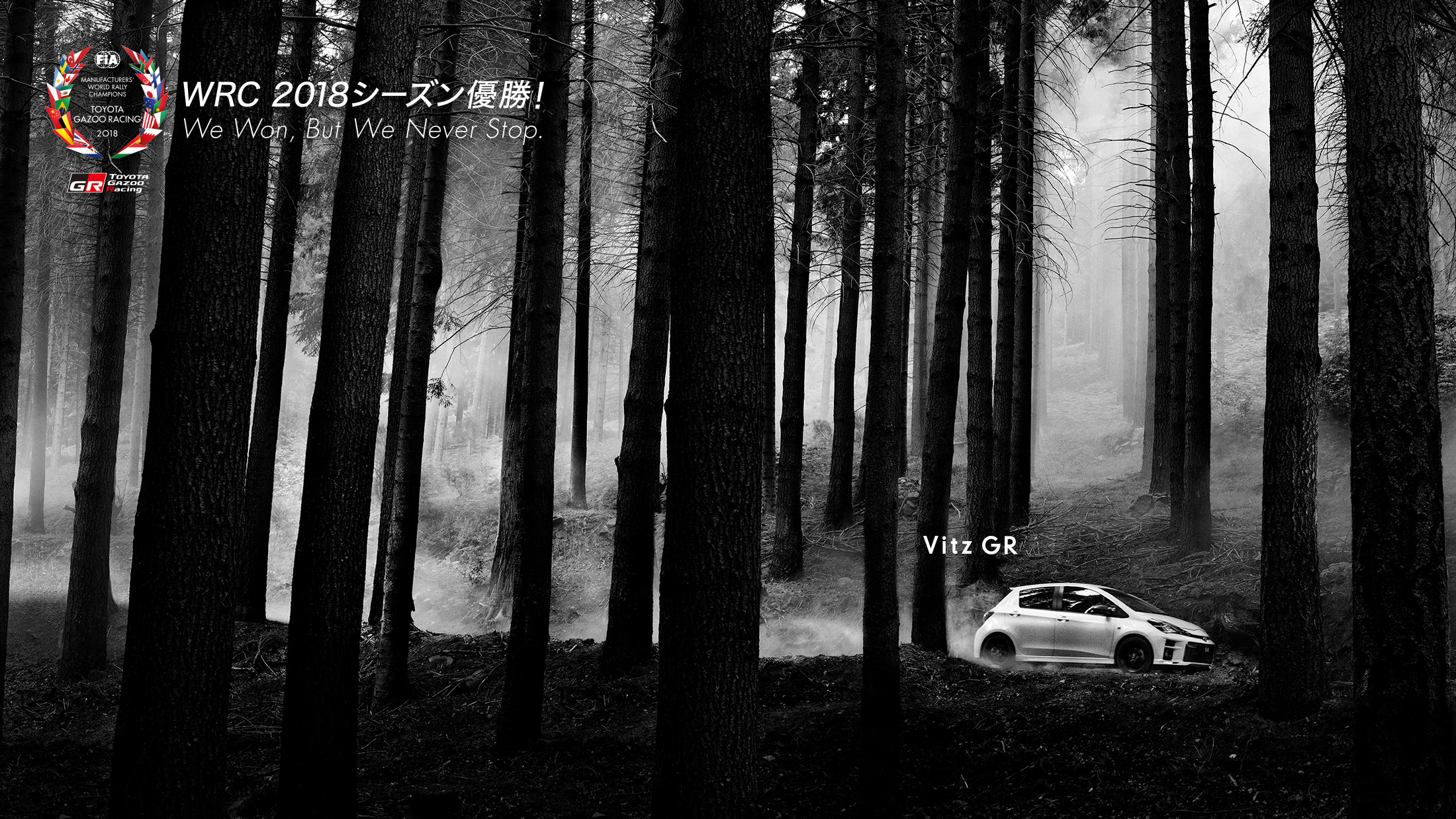 Vitz GR