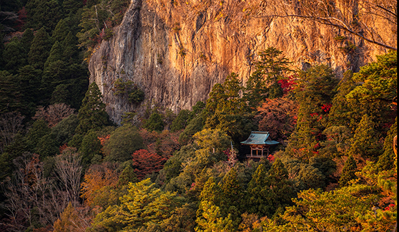 紅葉スポットとしても有名な鳳来寺山の遊歩道からの展望。例年、紅葉の見頃は11月中旬から下旬にかけて。