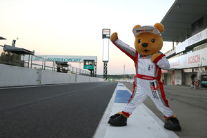 くま吉レポート 3/10(土)-11(日)は鈴鹿サーキットに遊びに来てね!