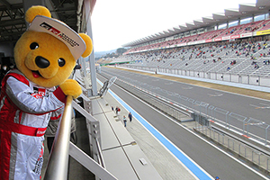 くま吉レポート スーパーフォーミュラ 第4戦 富士!今シーズン初優勝目指してぼくといっしょに応援しよう!