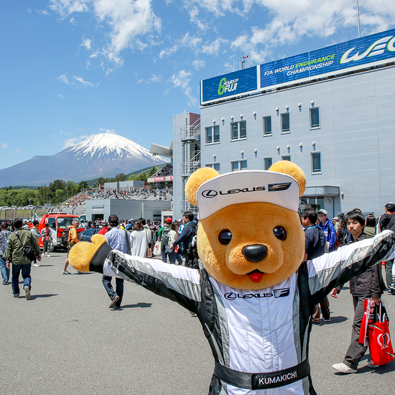 レクサスくま吉情報!