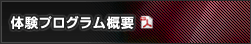 体験プログラム概要