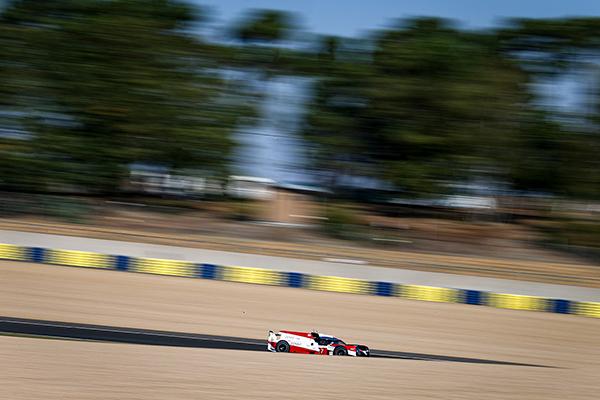 WEC 2019-2020 第7戦 ル・マン24時間レース フォトギャラリー