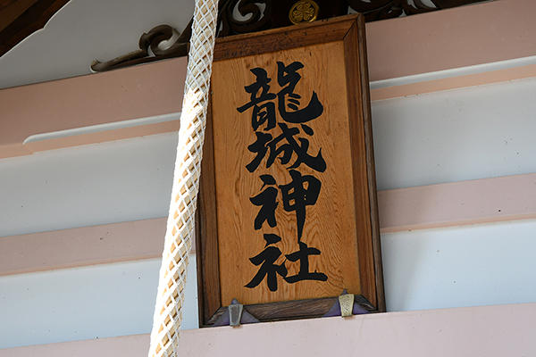 岡崎城&龍城神社で観光