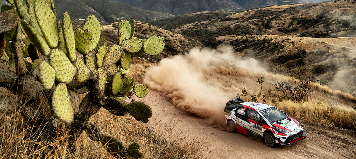 WRC Rd.3 メキシコ サマリーレポート
