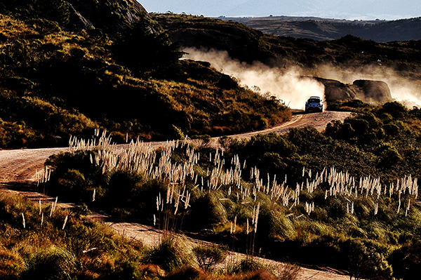 WRC 2017年 第5戦 アルゼンチン フォト&ムービー