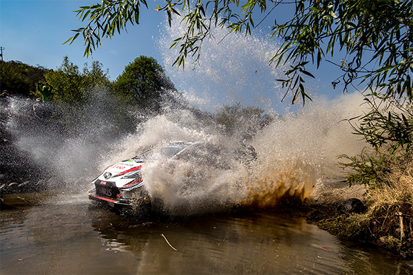 WRC 2019年 第3戦 メキシコ フォト&ムービー DAY1