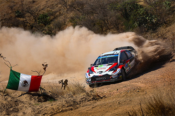 WRC 2019年 第3戦 メキシコ フォト&ムービー DAY2