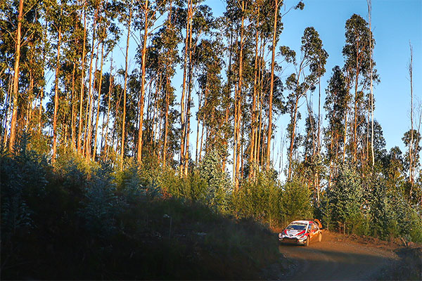 WRC 2019年 第6戦 チリ フォト&ムービー DAY1