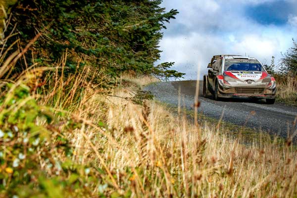 WRC 2019年 第12戦 グレートブリテン フォト&ムービー DAY3