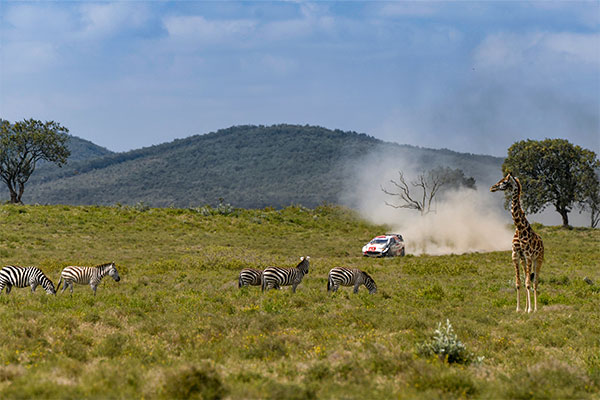 2021 WRC ROUND 6 SAFARI RALLY KENYA DAY2